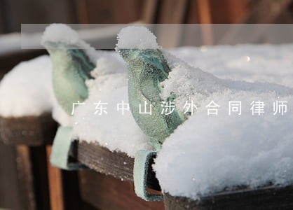 广东中山涉外合同律师哪里找 广东中山涉外合同律师哪里找