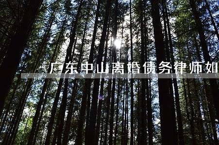 广东中山离婚债务律师如何委托 广东中山离婚债务律师如何委托