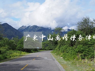 广东中山离婚债务律师费用 广东中山离婚债务律师费用