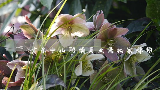 广东中山聘请商业侵权案律师