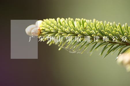 广东中山郭敏珊律师公众评价