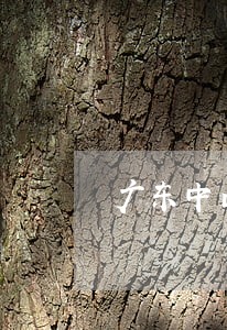 广东中山重罪辩护律师哪个好 广东中山重罪辩护律师哪个好