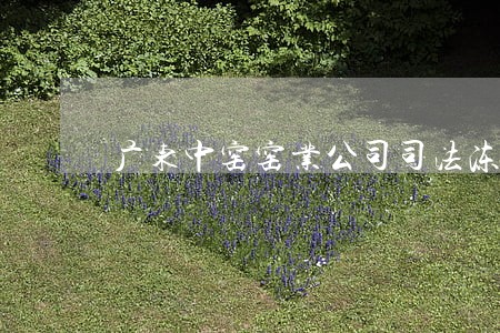 广东中窑窑业公司司法冻结 广东中窑窑业公司司法冻结