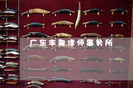 广东丰粤律师事务所