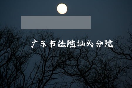 广东书法院汕头分院