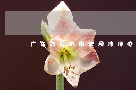 广东云浮刑事官司律师电话 广东云浮刑事官司律师电话