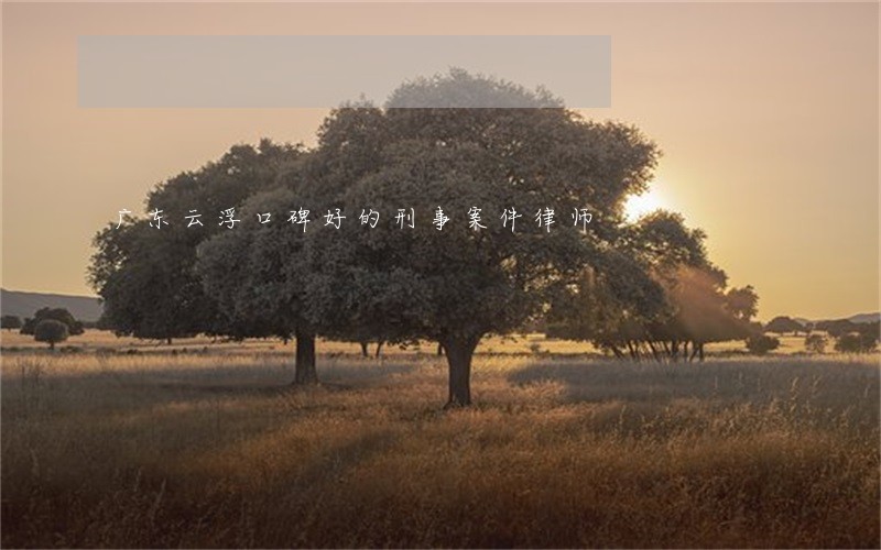 广东云浮口碑好的刑事案件律师 广东云浮口碑好的刑事案件律师