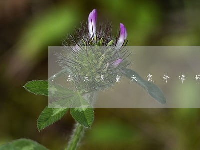 广东云浮重大案件律师咨询 广东云浮重大案件律师咨询