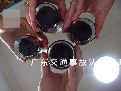 广东交通事故法律援助中心 广东交通事故法律援助中心
