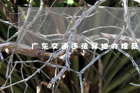 广东交通违法异地办理系统在江门 广东交通违法异地办理系统在江门