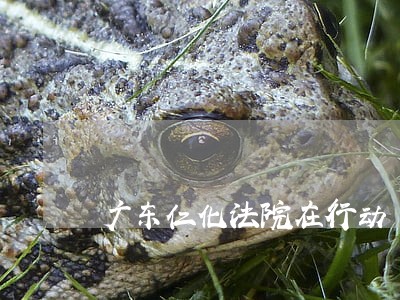 广东仁化法院在行动 广东仁化法院在行动