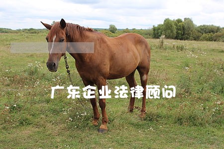 广东企业法律顾问 广东企业法律顾问