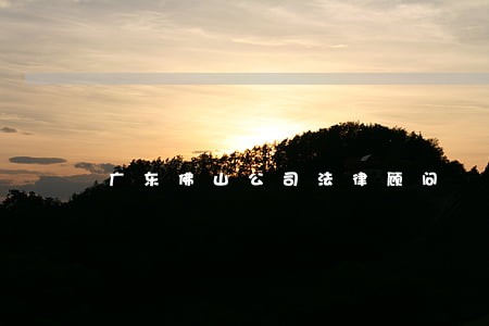 广东佛山公司法律顾问 广东佛山公司法律顾问