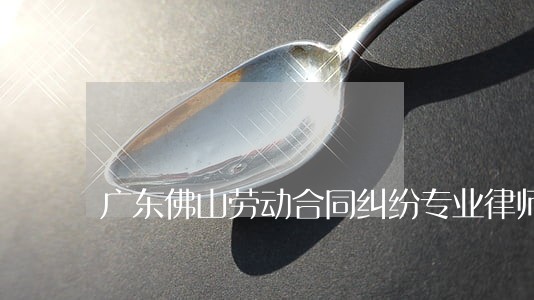 广东佛山劳动合同纠纷专业律师