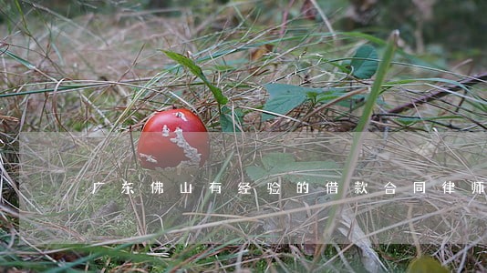 广东佛山有经验的借款合同律师 广东佛山有经验的借款合同律师
