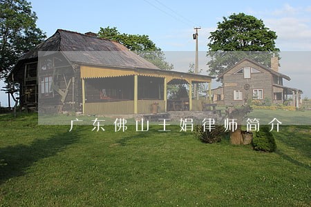 广东佛山王娟律师简介 广东佛山王娟律师简介