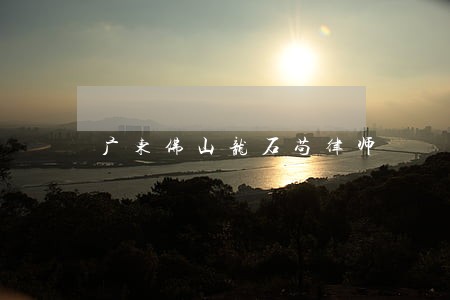 广东佛山龙石苟律师 广东佛山龙石苟律师