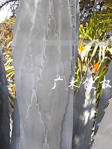 广东侵权律师哪家专业 广东侵权律师哪家专业