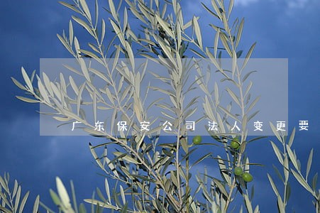 广东保安公司法人变更要签字吗 广东保安公司法人变更要签字吗