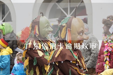 广东信用卡逾期政审 广东信用卡逾期政审