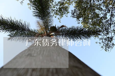 广东债务律师咨询 广东债务律师咨询