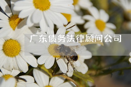 广东债务法律顾问公司 广东债务法律顾问公司