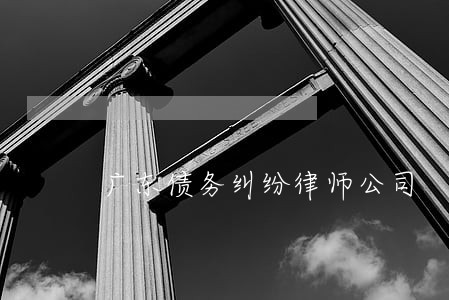 广东债务纠纷律师公司 广东债务纠纷律师公司