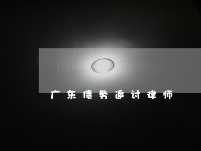 广东债务追讨律师 广东债务追讨律师