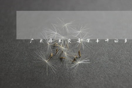 广东停车交通肇事诉讼多少钱 广东停车交通肇事诉讼多少钱