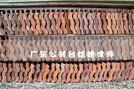 广东公共台婚姻律师 广东公共台婚姻律师