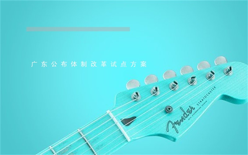 广东公布体制改革试点方案 广东公布体制改革试点方案