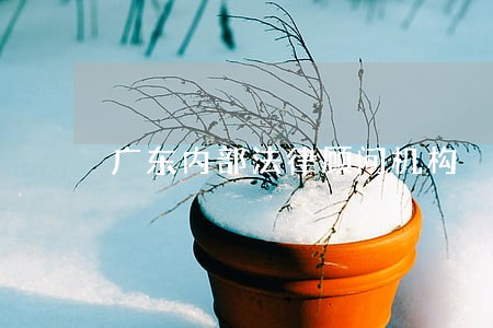 广东内部法律顾问机构
