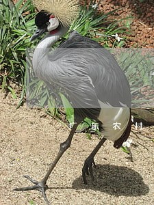广东农村法律顾问费用 广东农村法律顾问费用