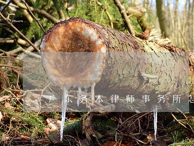 广东务本律师事务所怎么样