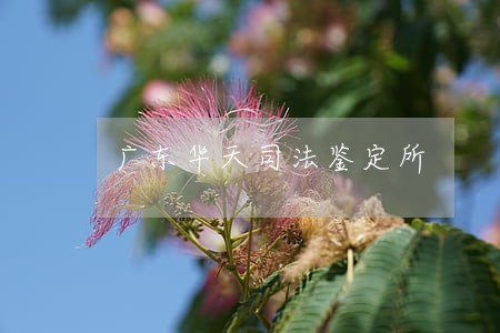 广东华天司法鉴定所 广东华天司法鉴定所