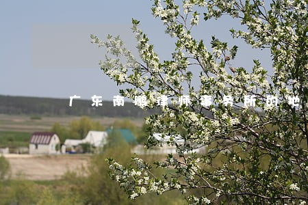 广东南鹏律师事务所的地址 广东南鹏律师事务所的地址