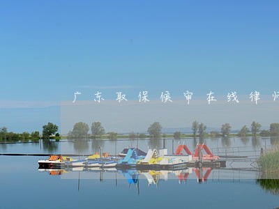广东取保候审在线律师咨询 广东取保候审在线律师咨询
