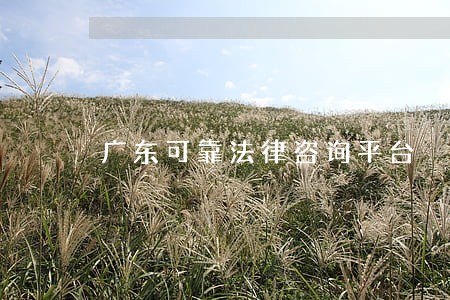 广东可靠法律咨询平台 广东可靠法律咨询平台