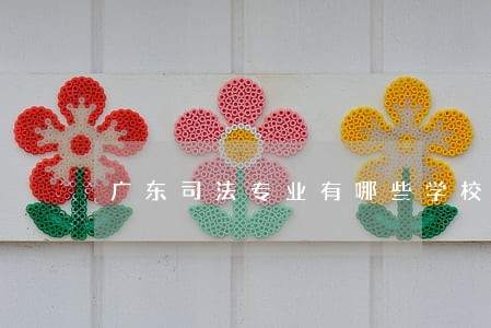 广东司法专业有哪些学校