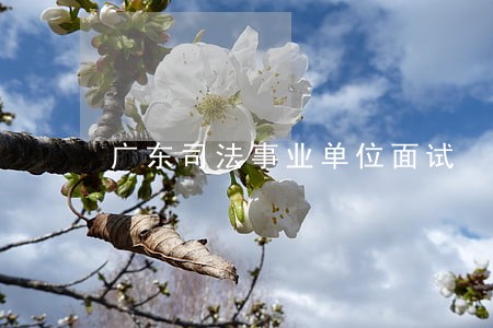 广东司法事业单位面试 广东司法事业单位面试