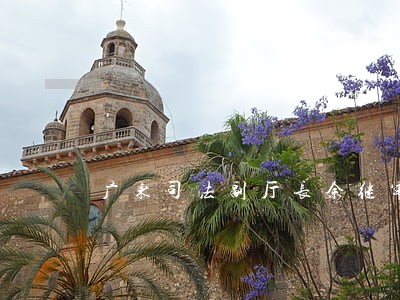 广东司法副厅长余继军 广东司法副厅长余继军