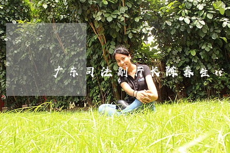 广东司法副厅长陈春生