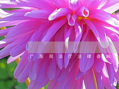 广东司法厅法律咨询 广东司法厅法律咨询