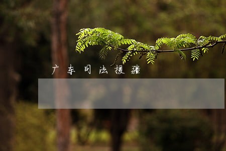 广东司法援疆 广东司法援疆