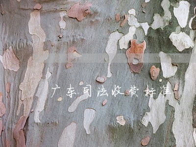 广东司法收费标准 广东司法收费标准