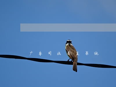 广东司法省直系统 广东司法省直系统