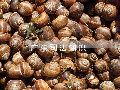 广东司法知识 广东司法知识