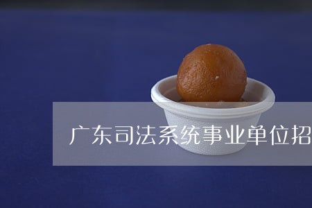 广东司法系统事业单位招聘 广东司法系统事业单位招聘