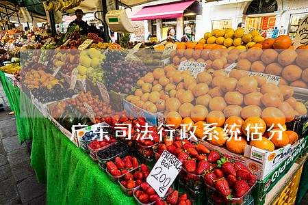 广东司法行政系统估分