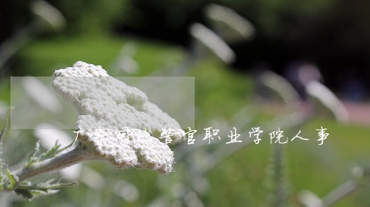 广东司法警官职业学院人事